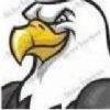 EAGLE_01