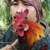 AnakBongsu98